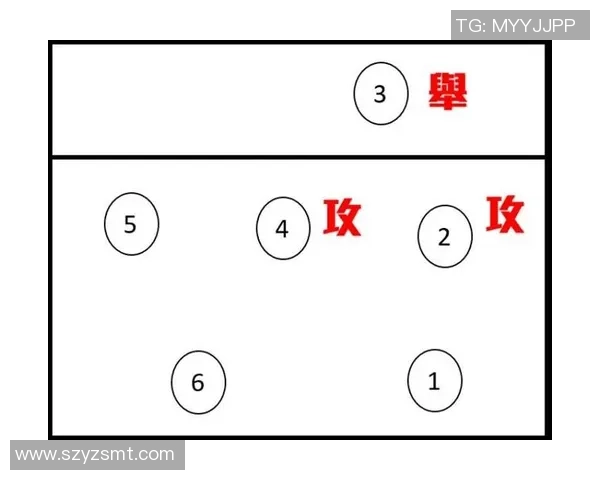 南京排球队节奏对比深度解析与战术探讨