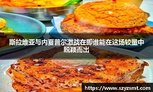 斯拉维亚与内夏普尔激战在即谁能在这场较量中脱颖而出